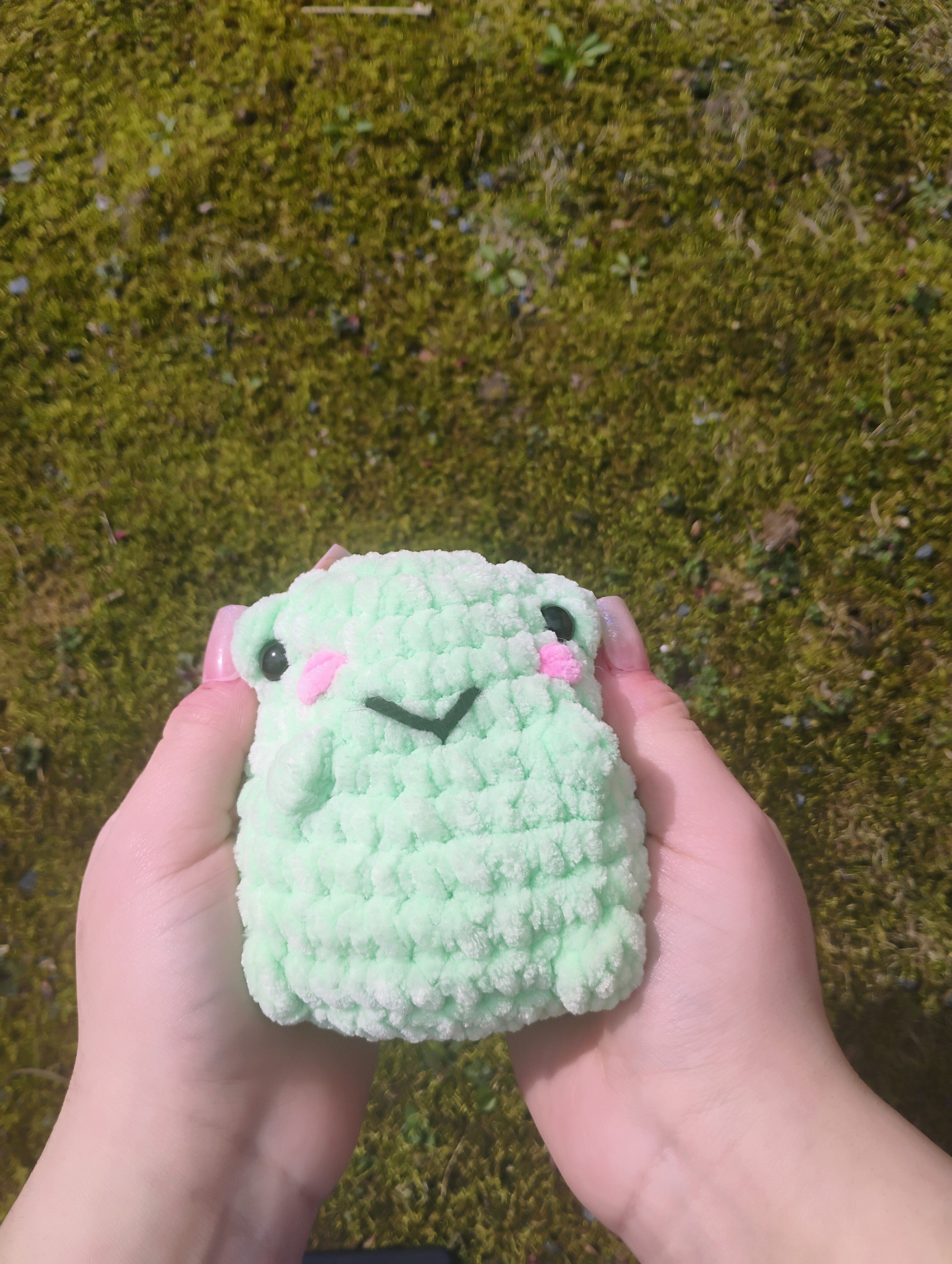 Frog Plushie
