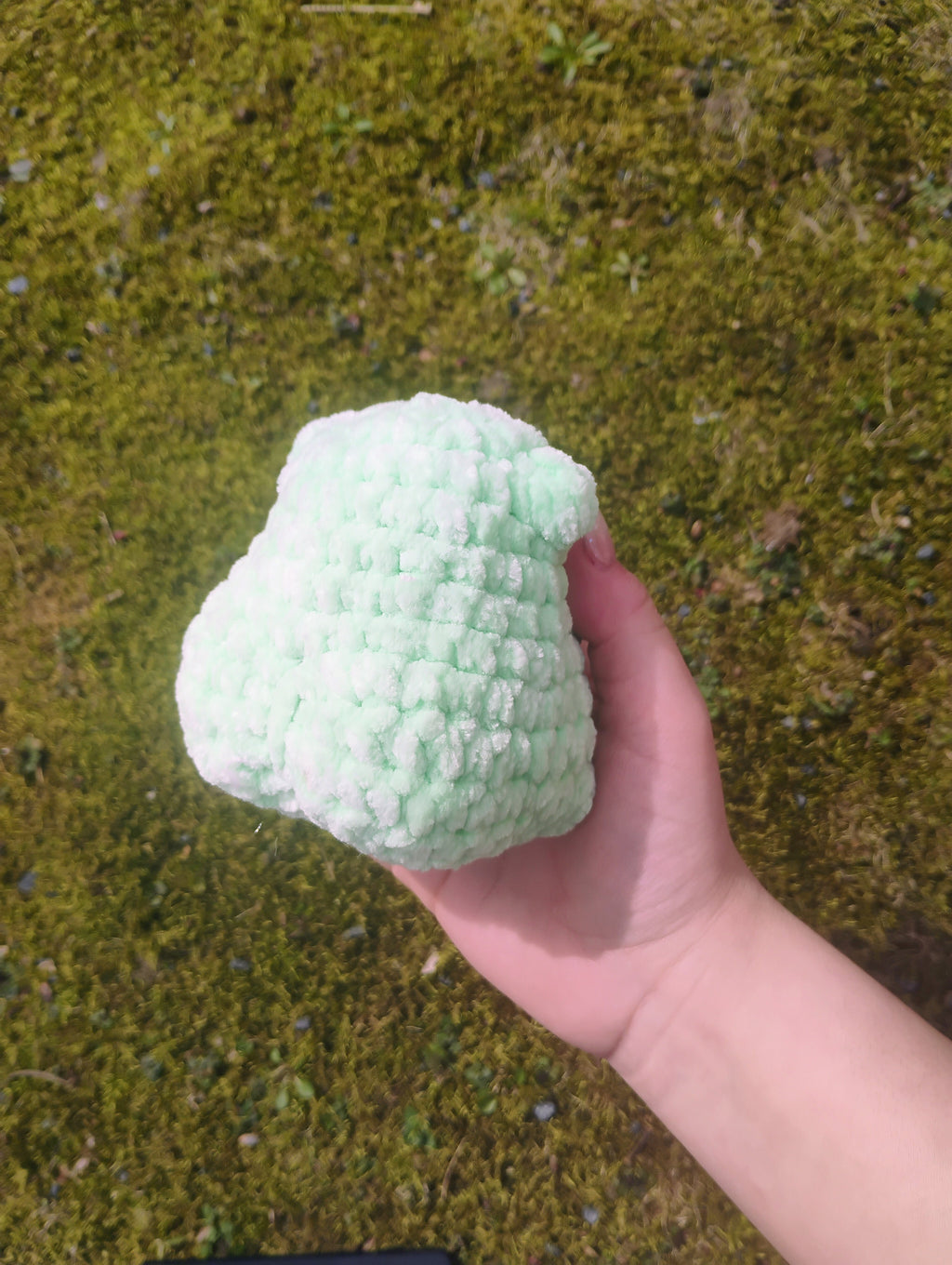 Frog Plushie
