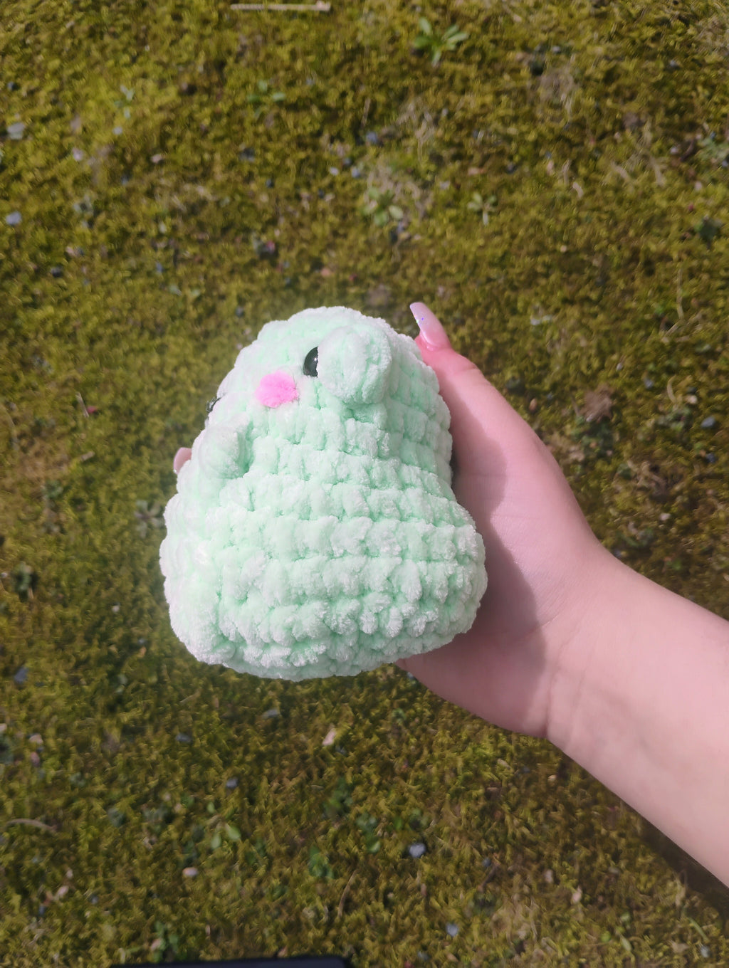 Frog Plushie