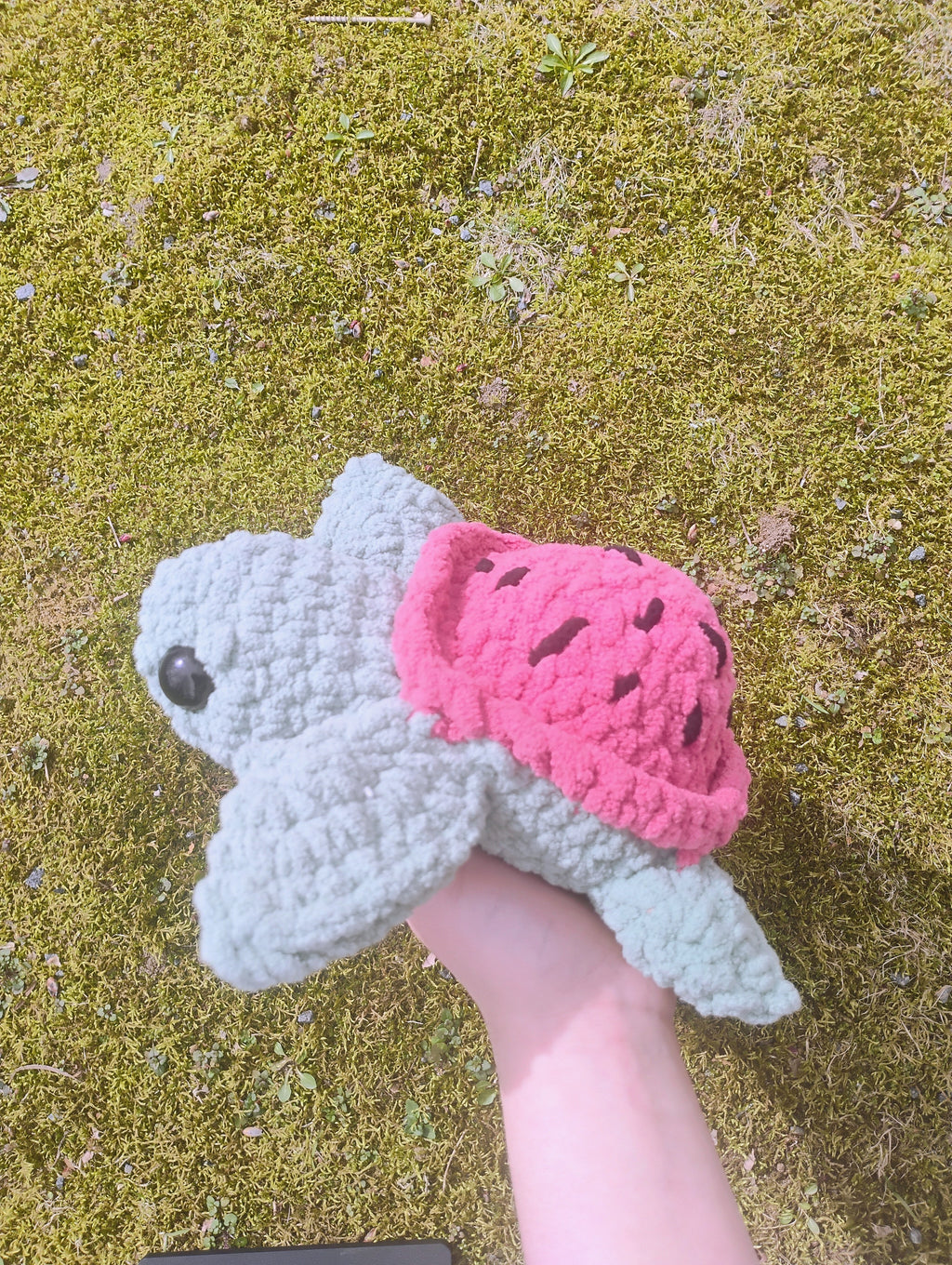 Watermelon Turtle Plushie
