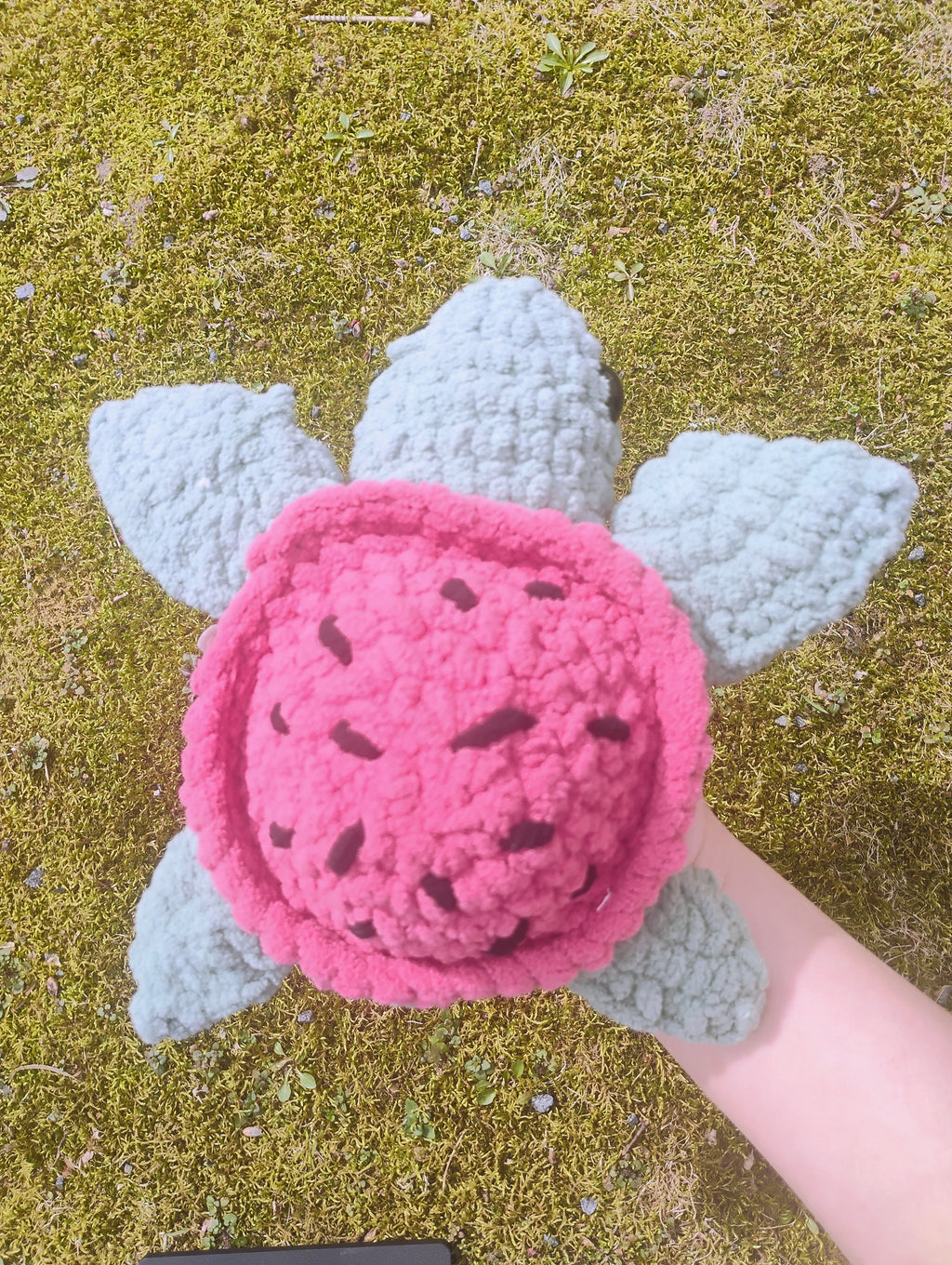 Watermelon Turtle Plushie