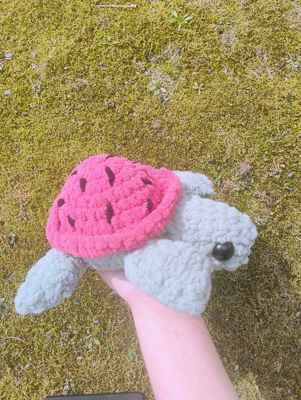 Watermelon Turtle Plushie