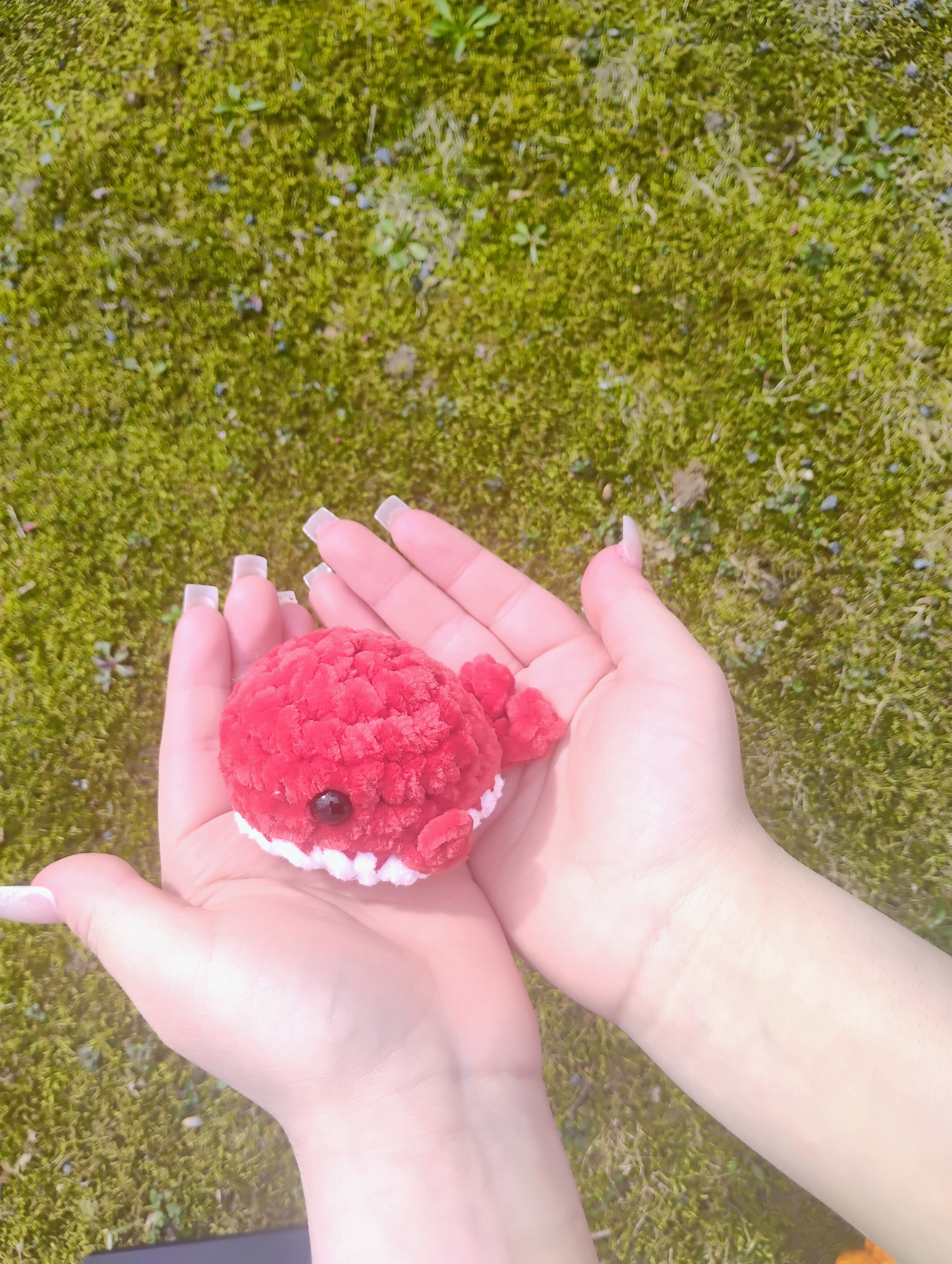 Red Baby Whale Plush