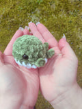 Green Baby Whale Plush