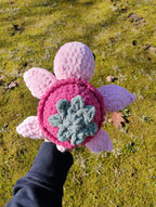 Strawberry Turtle