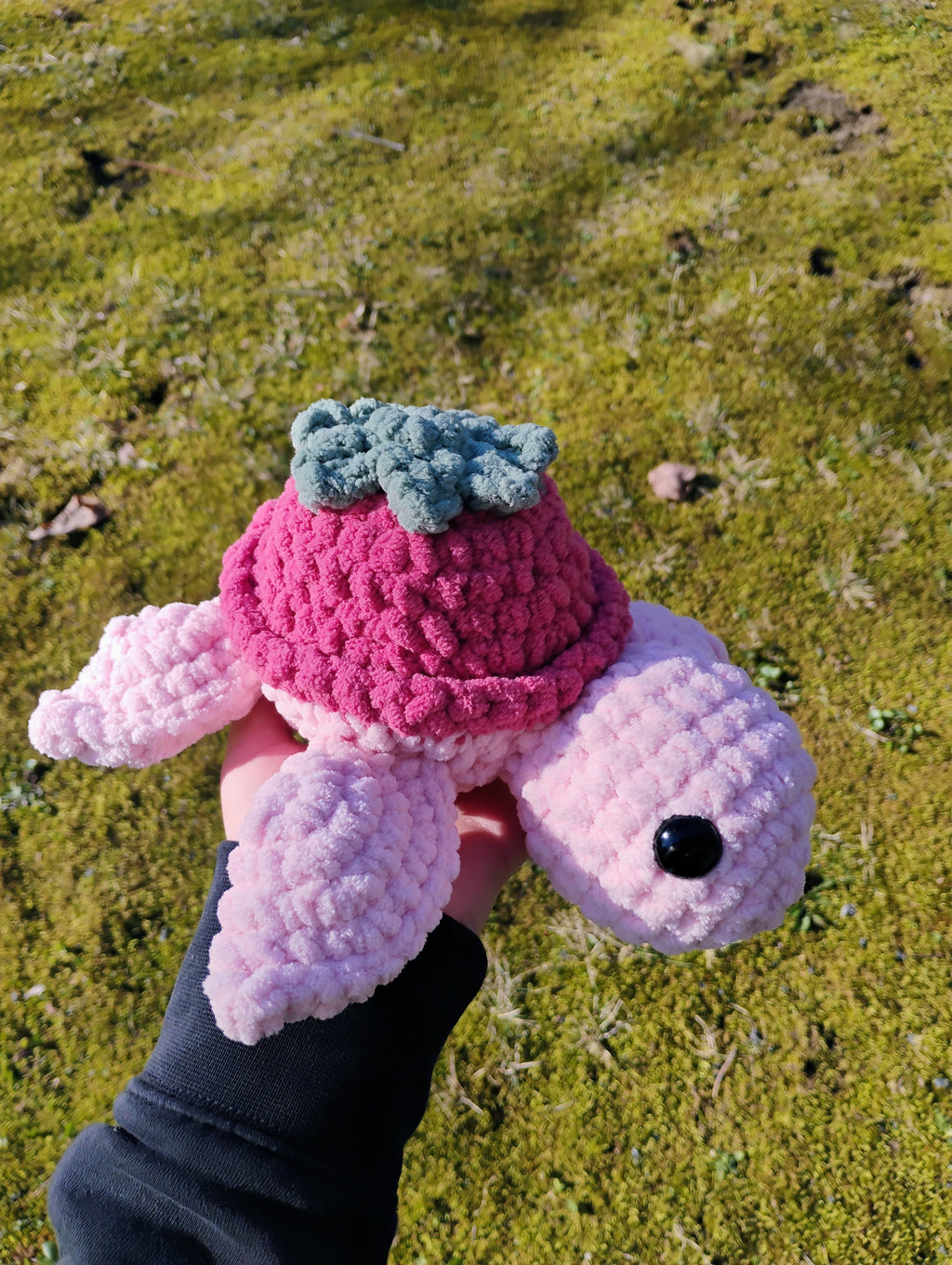 Strawberry Turtle