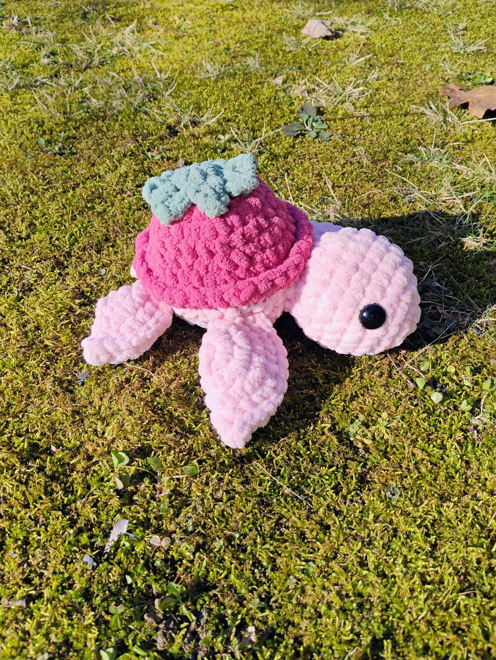 Strawberry Turtle