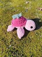 Strawberry Turtle